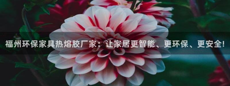 意昂5(KGAME)平台官方网站：福州环保家具热熔胶厂家：让