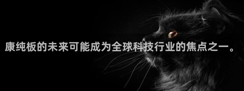 意昂5(KGAME)官网网站：康纯板的未来可能成为全球科技行