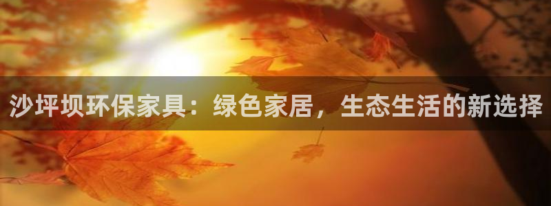 意昂5(KGAME)注册线路：沙坪坝环保家具：绿色家居，生态