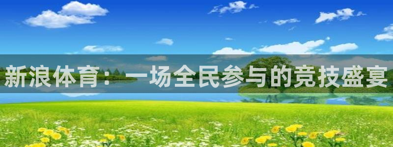 劲爆体育nba直播：新浪体育：一场全民参与的竞技盛宴