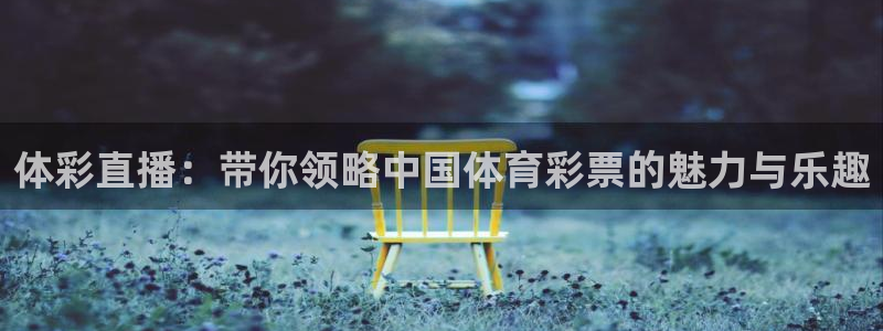 劲爆直播体育：体彩直播：带你领略中国体育彩票的魅力与乐趣