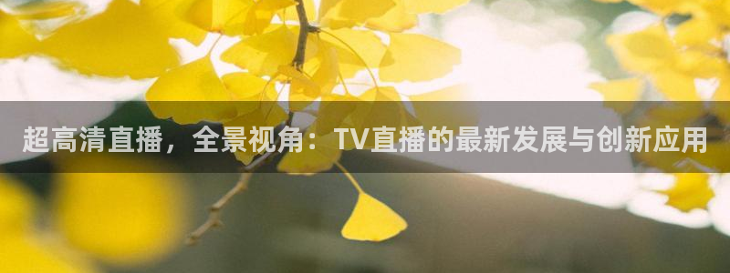 劲爆体育比赛直播：超高清直播，全景视角：TV直播的最新发展与创新应用