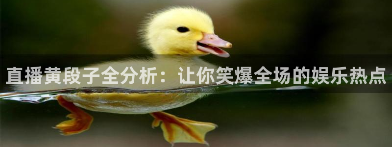 劲爆体育nba今天直播：直播黄段子全分析：让你笑爆全场的娱乐热点