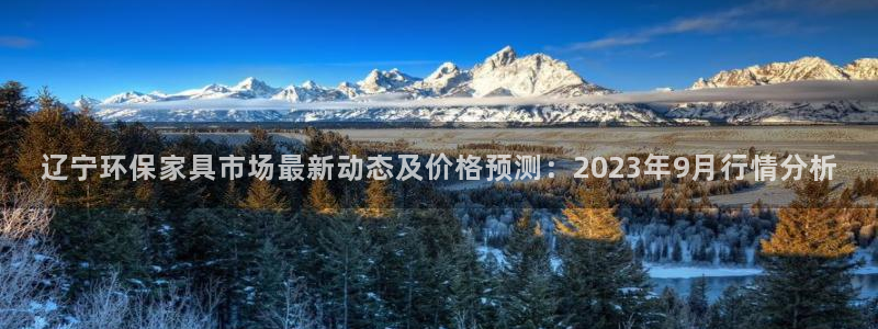 意昂5(KGAME)平台登录网址是什么：辽宁环保家具市场最新